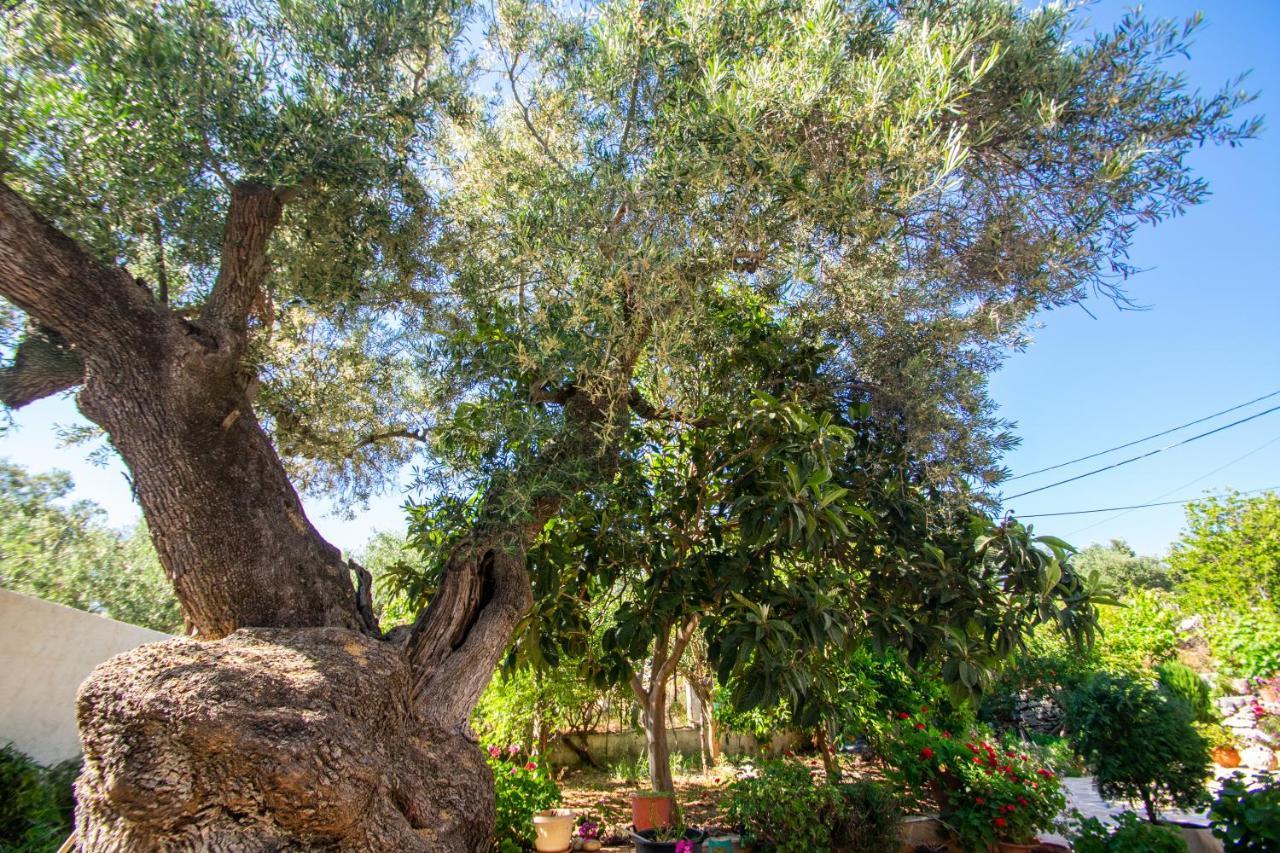 Kampi  Sohoro Forest Hill Apartment By "Elite" מראה חיצוני תמונה